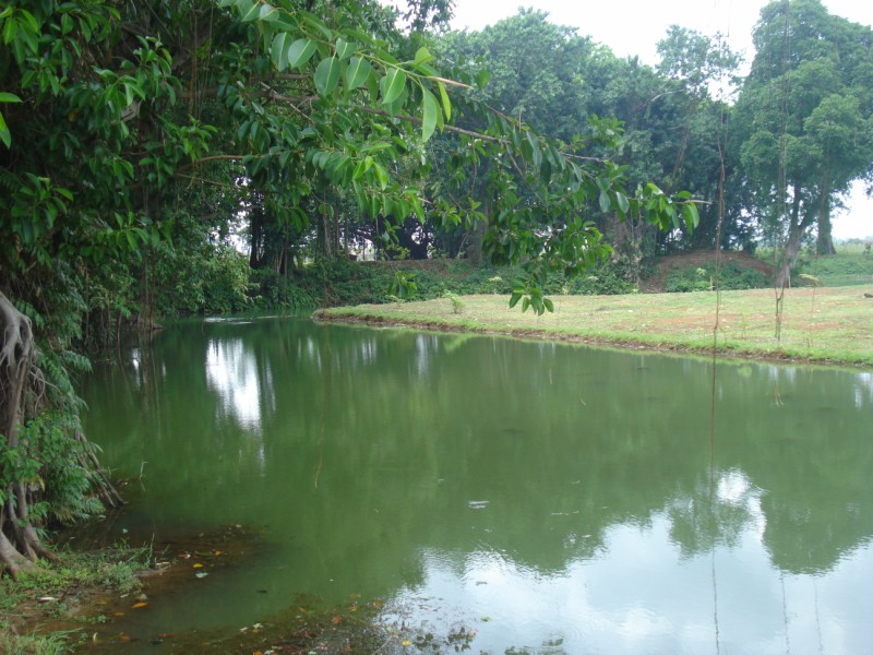 ExOTIC OF JePARA: TELAGA SEJUTA AKAR